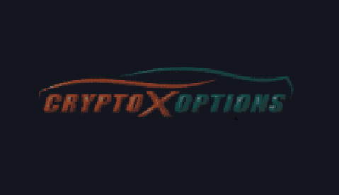 Crypto X Options Review